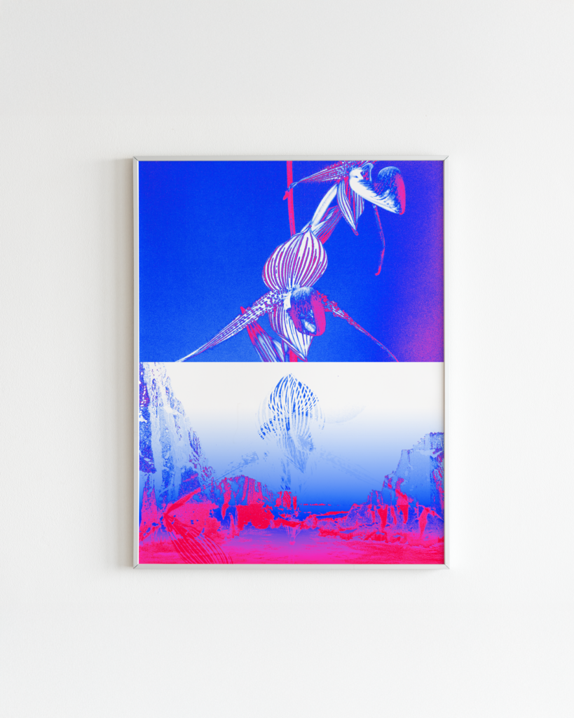 SYMBIOSIS II