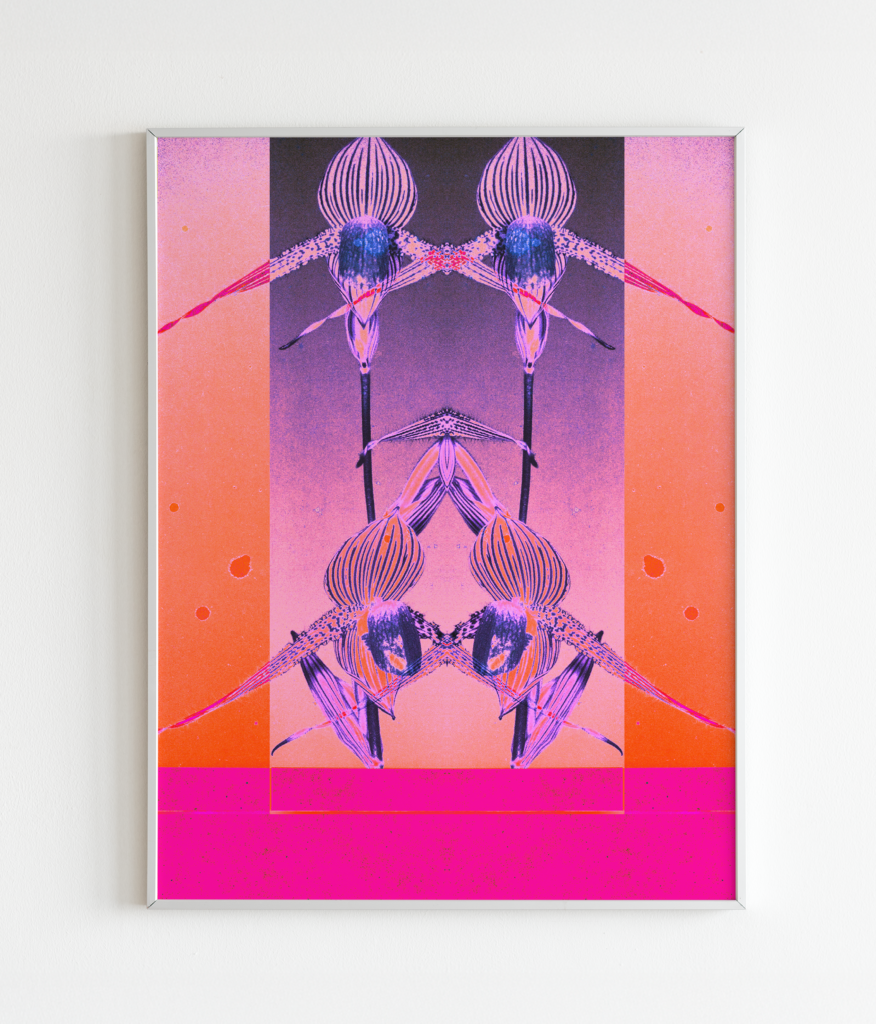 SYMBIOSIS VI