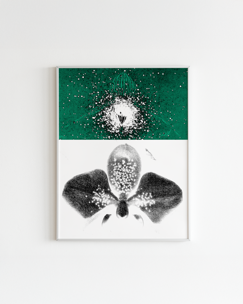 SYMBIOSIS